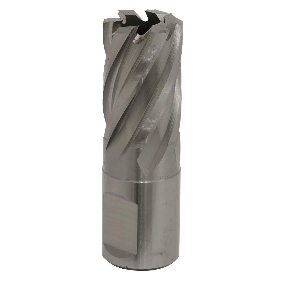 Worksafe by Sealey Mag Drill Bit HSS Ø19mm - Cut Depth 25mm