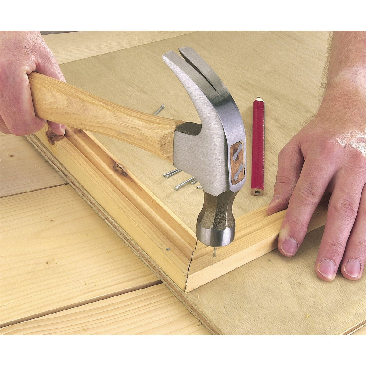 Draper Hickory Shaft Claw Hammer 450g/16oz 42496 White Rose Tools