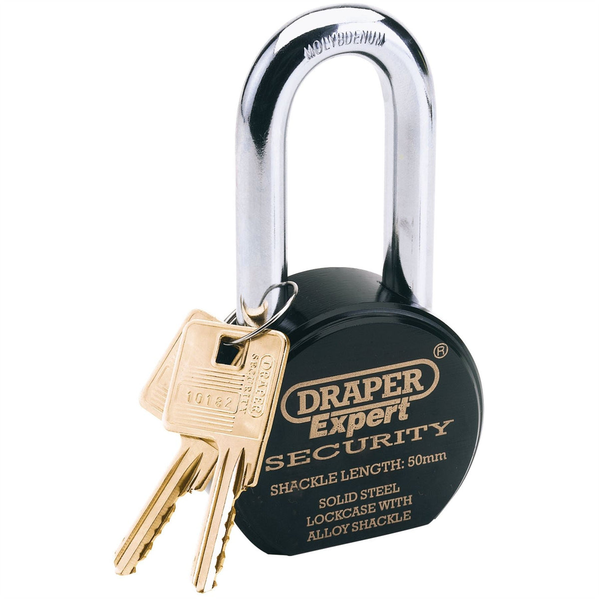 Draper Expert Heavy Duty Stainless Steel Padlock and 2 Keys 63 x 50mm 64207 White Rose Tools