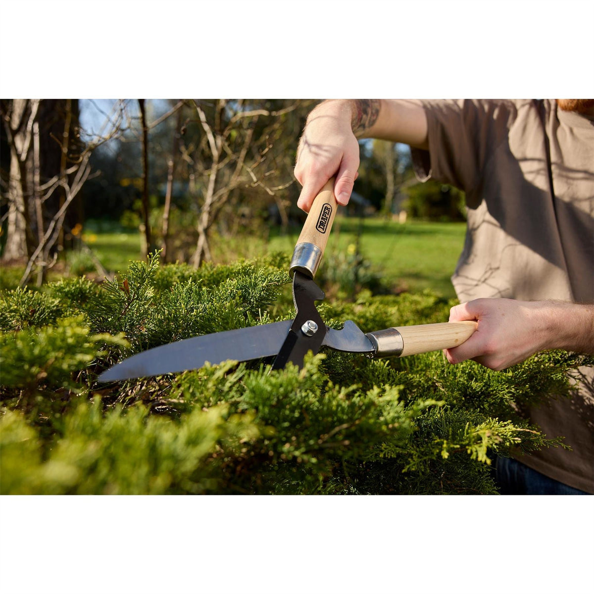 Draper Straight Edge Garden Shears with Ash Handles 230mm 36784 White Rose Tools