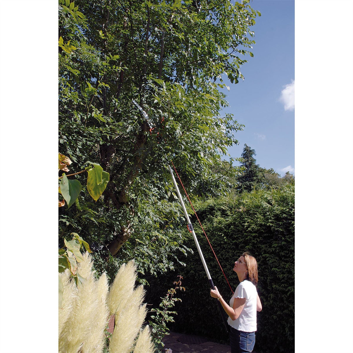 Draper Expert Tree Pruner with Telescopic Handle 32mm Diameter 45334 White Rose Tools