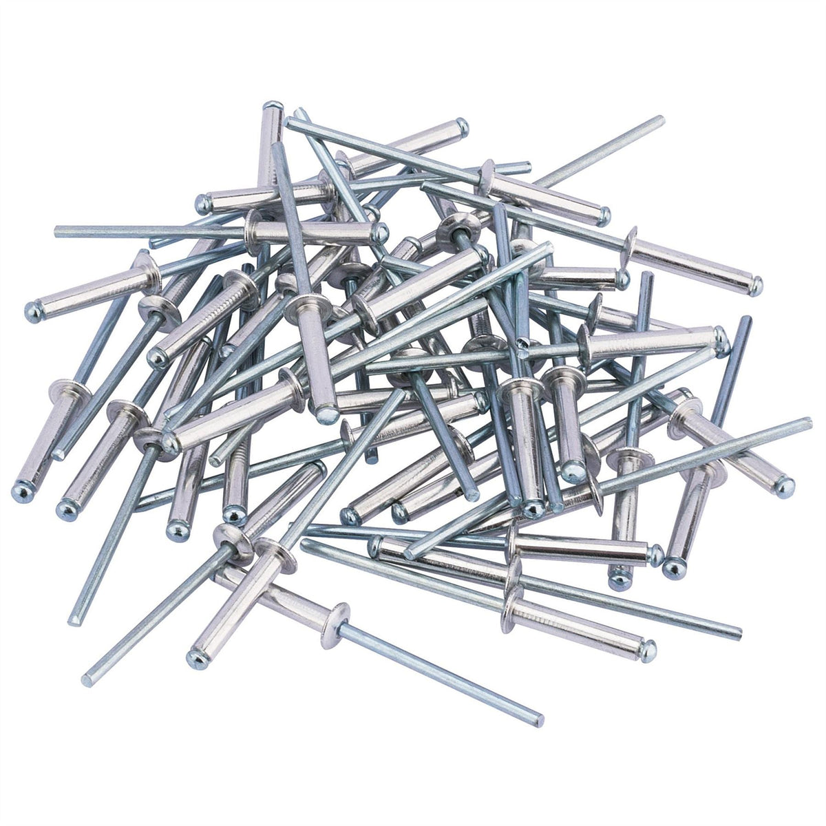 Draper Blind Rivets 3.2 x 15.8mm (50 Piece) 14008 White Rose Tools