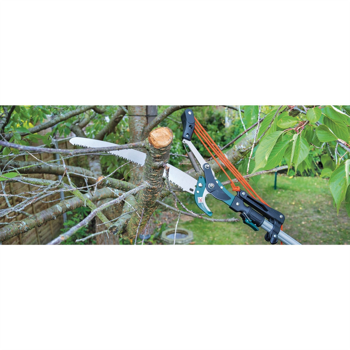 Draper Expert Tree Pruner with Telescopic Handle 32mm Diameter 45334 White Rose Tools