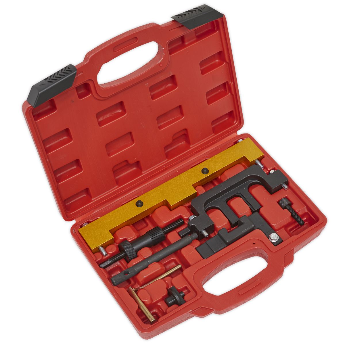 Sealey Petrol Engine Timing Tool Kit - for BMW 1.8/2.0 N42/N46/N46T - Chain Drive