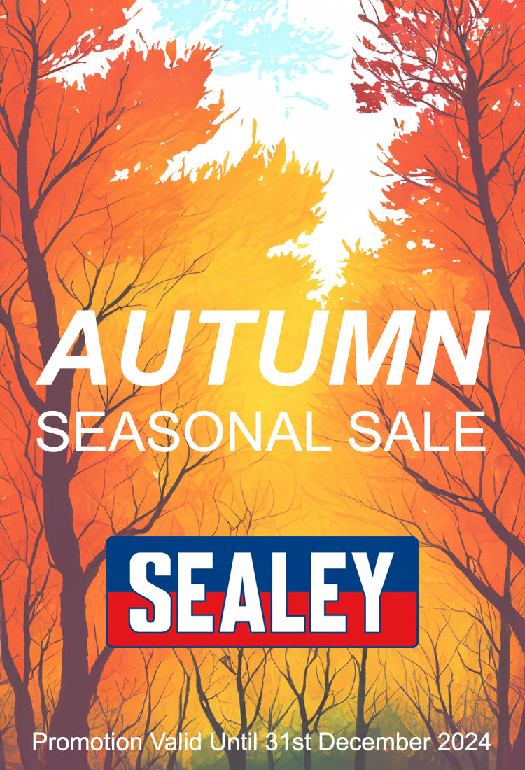 Sealey Autumn Seasonal Sale