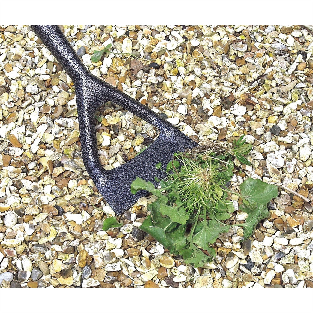 Draper Carbon Steel Dutch Hoe 88799  White Rose Tools