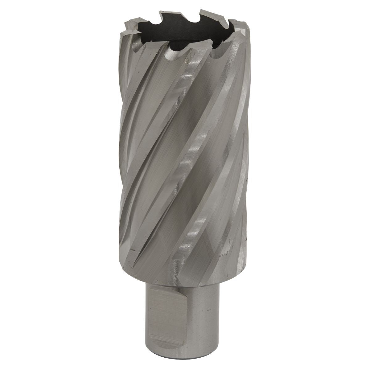 Worksafe by Sealey Mag Drill Bit HSS Ø33mm - Cut Depth 50mm