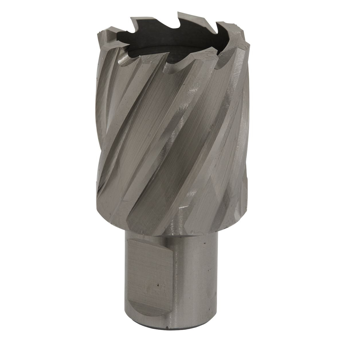 Worksafe by Sealey Mag Drill Bit HSS Ø33mm - Cut Depth 25mm