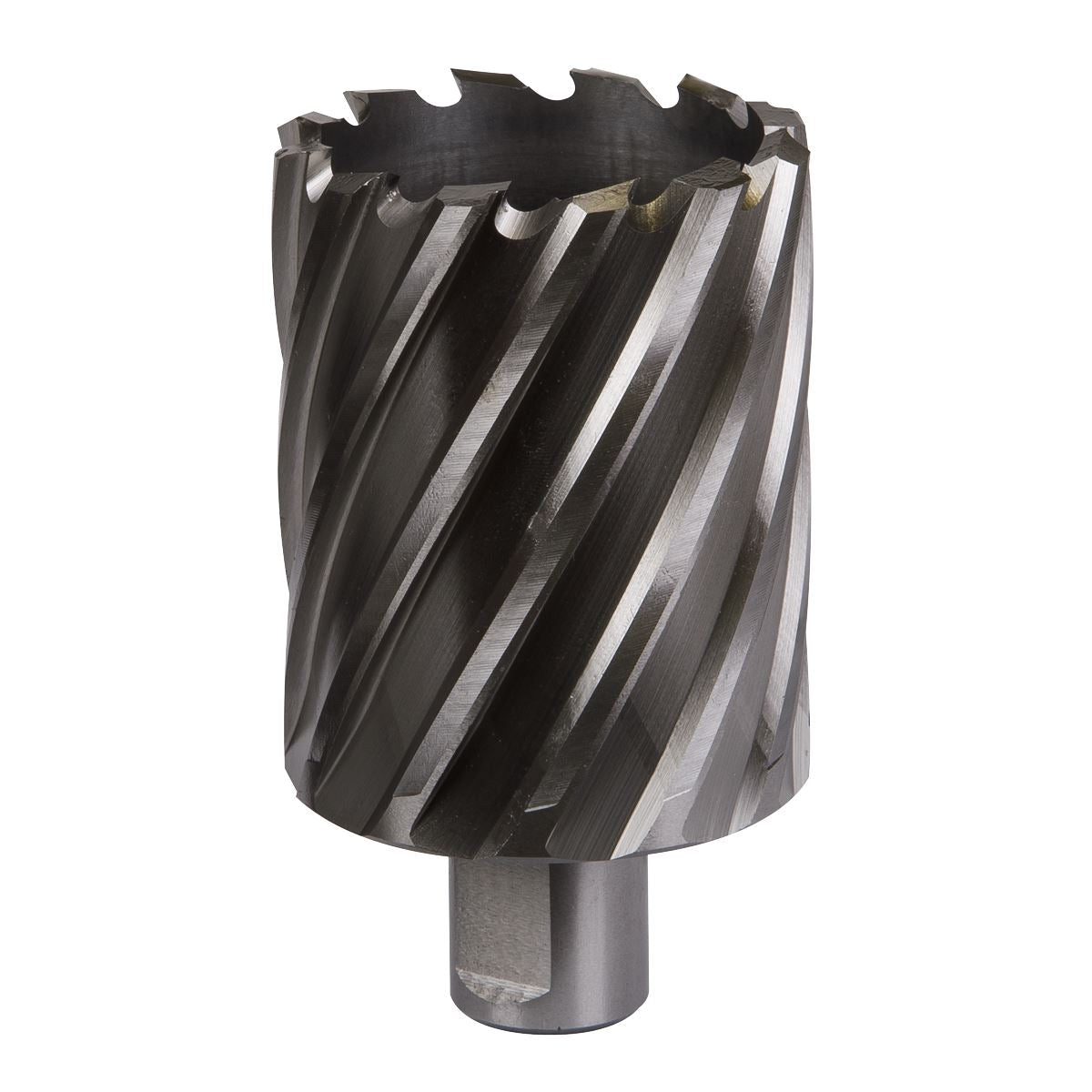 Worksafe by Sealey Mag Drill Bit HSS Ø51mm - Cut Depth 50mm 