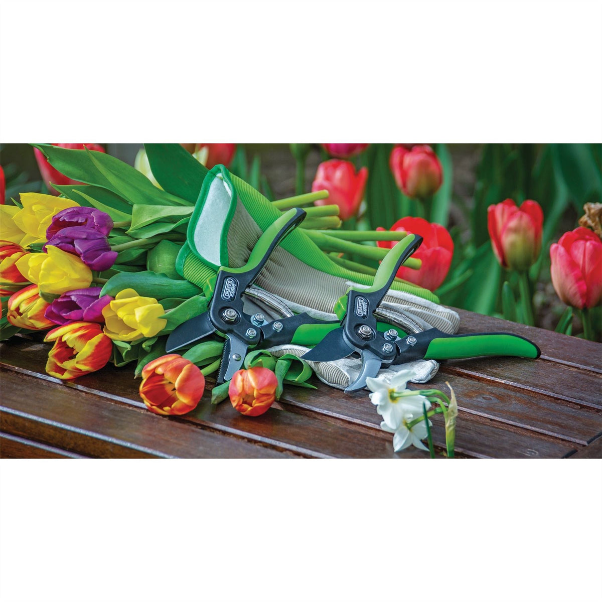 Draper Expert Anvil Pattern Secateurs 200mm 94983  White Rose Tools