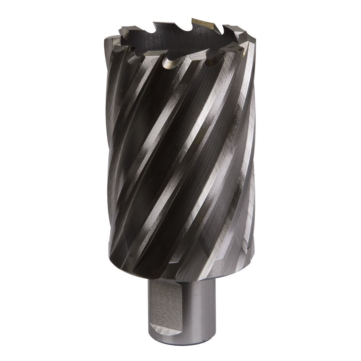Worksafe by Sealey Mag Drill Bit HSS Ø41mm - Cut Depth 50mm 
