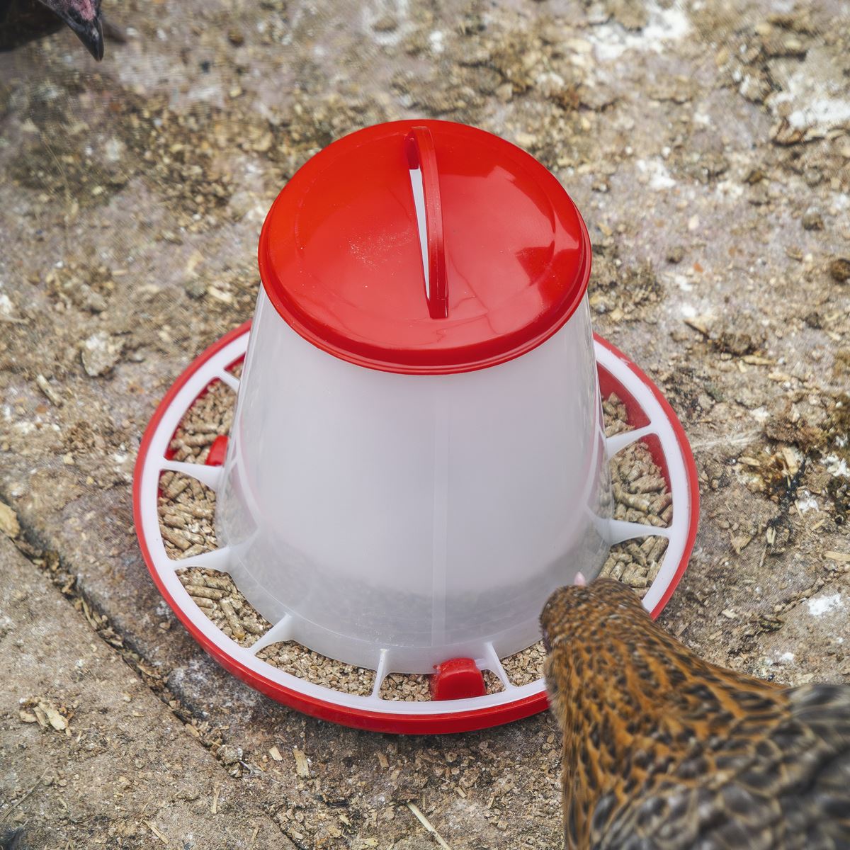 Sealey Poultry Feeder 1.5kg - Pack of 5  White Rose Tools