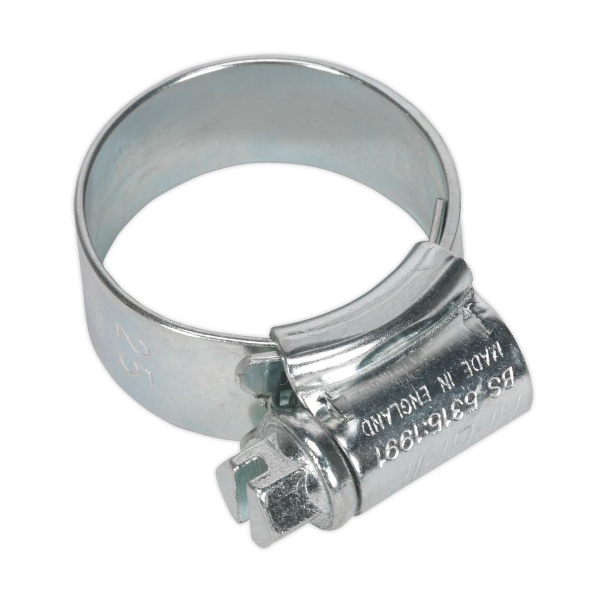 Sealey 20 Pack Hi-Grip Hose Clips (17-25mm x 12mm)