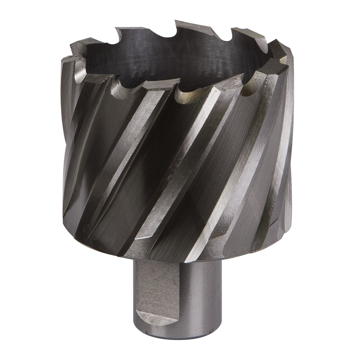Worksafe by Sealey Mag Drill BitHSS Ø49mm - Cut Depth 25mm 
