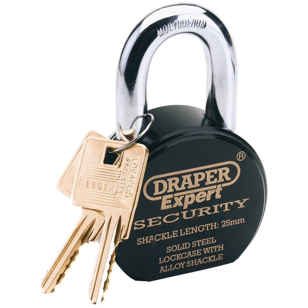 Draper Expert Heavy Duty Stainless Steel Padlock and 2 Keys 63 x 25mm 64206  White Rose Tools