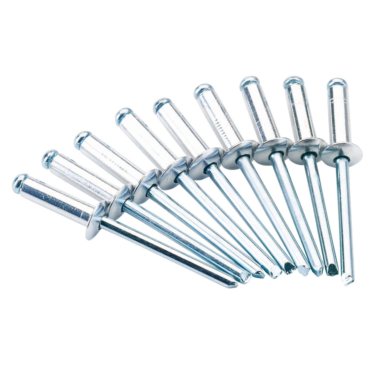 Draper Blind Rivets 4.8 x 16mm (50 Piece) 14012  White Rose Tools