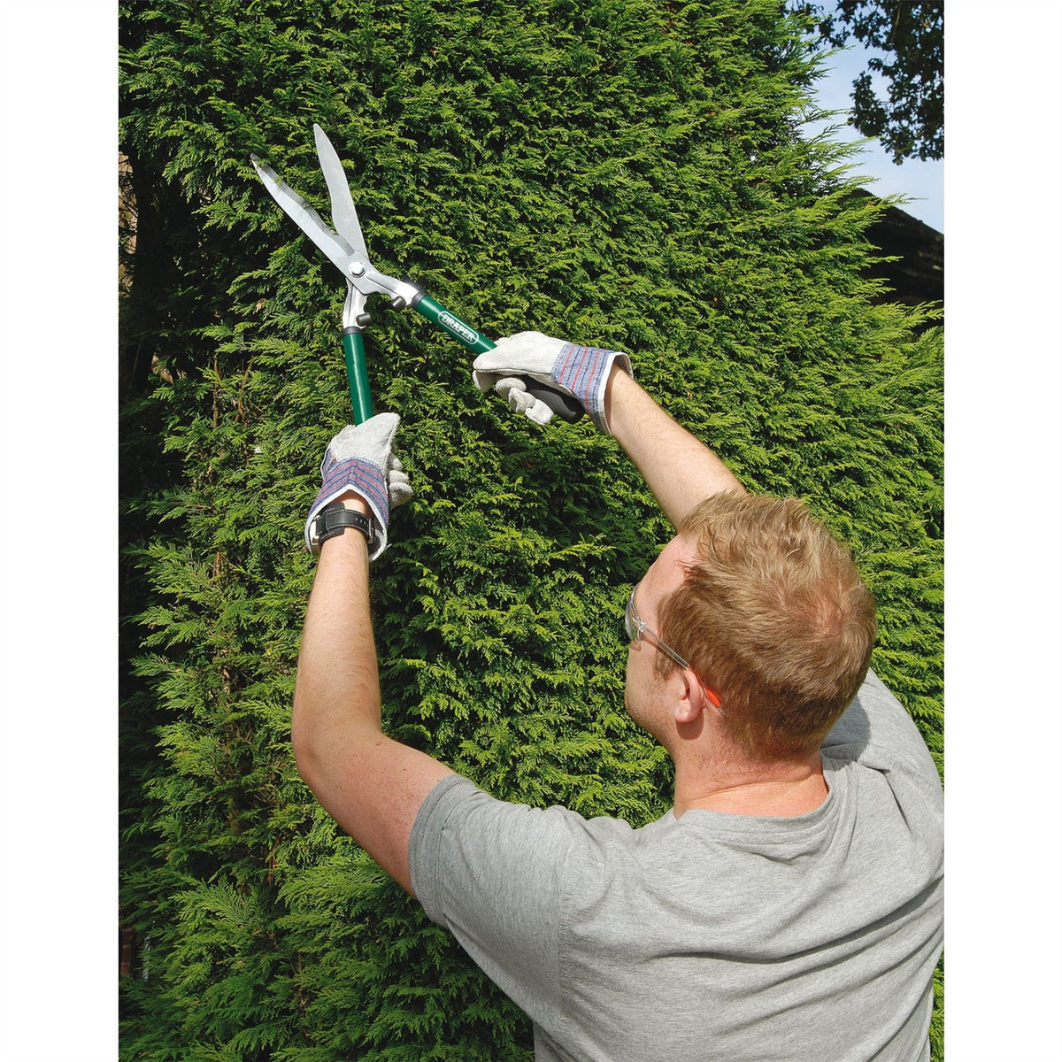 Draper Lopper Shears and Secateur Set (3 Piece) 28210  White Rose Tools