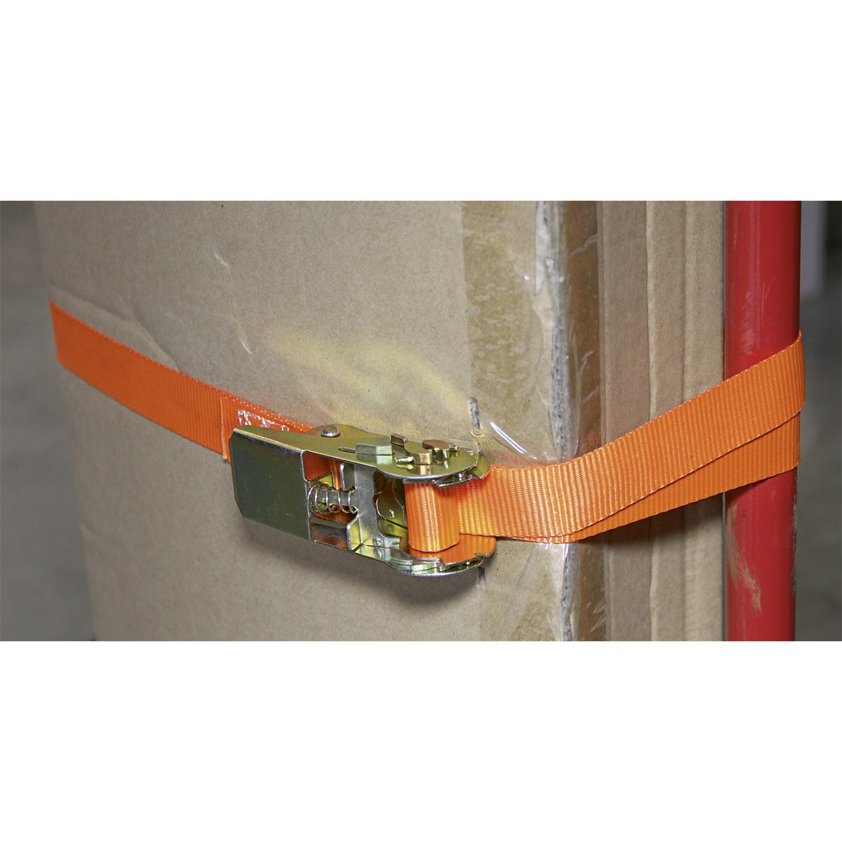 Sealey 500kg Ratchet Tie Down 25mm x 4.5m - Pair Cargo Lash Self Securing