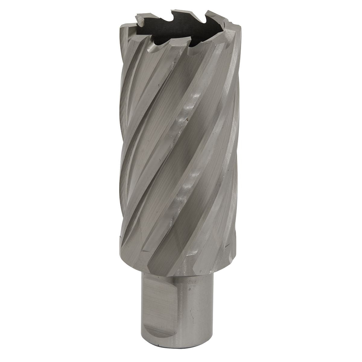 Worksafe by Sealey Mag Drill Bit HSS Ø31mm - Cut Depth 50mm