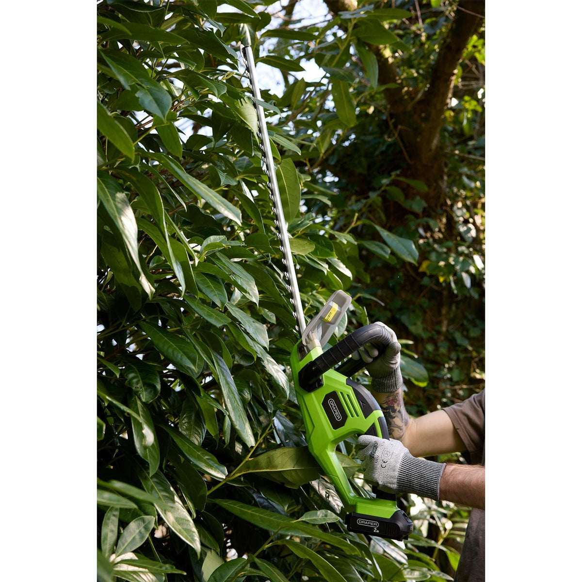 Draper 18V Hedge Trimmer 1 x 2.0Ah Battery 1 x Charger 31862  White Rose Tools