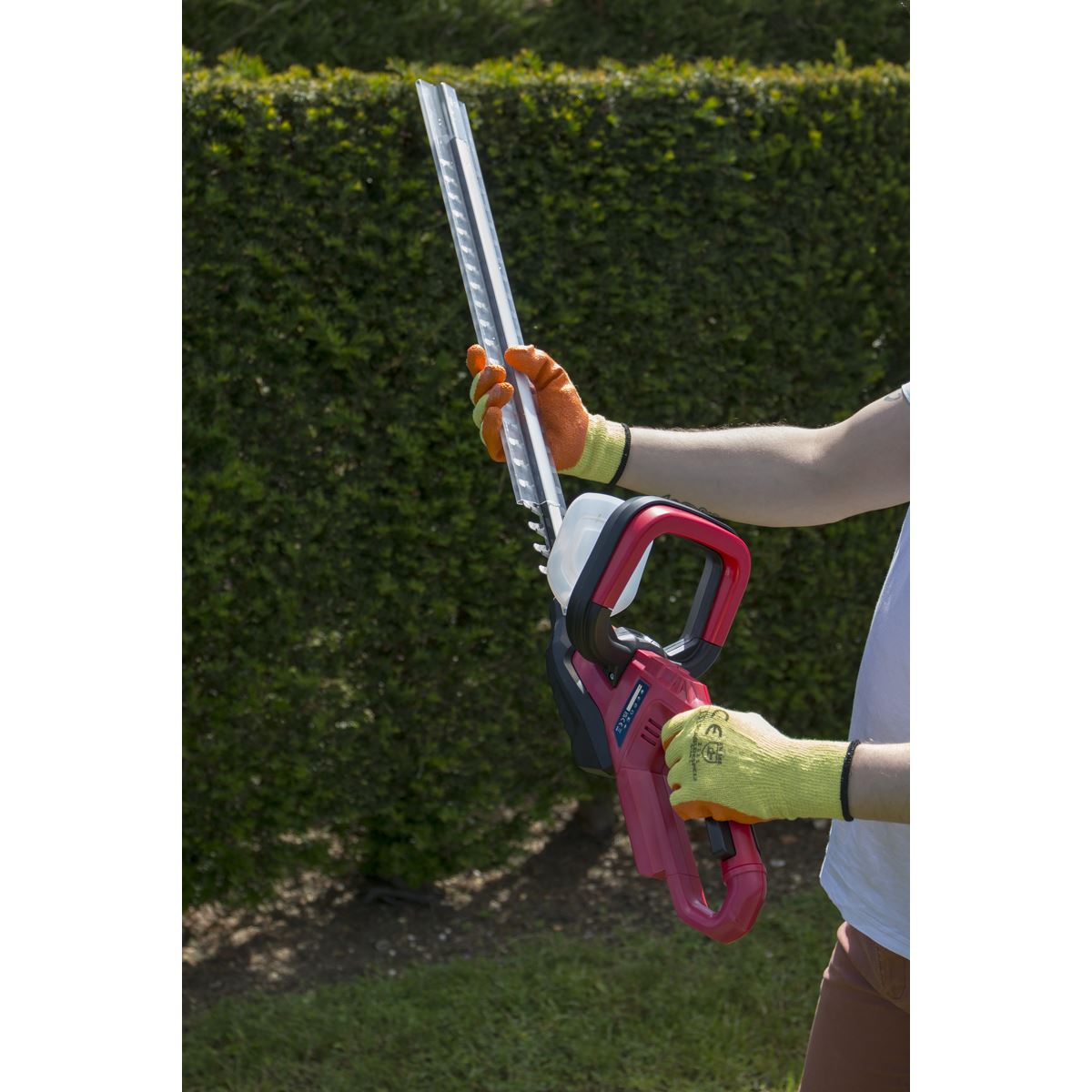 Sealey 20V Cordless 520mm Hedge Trimmer Kit 2Ah Battery and Charger
