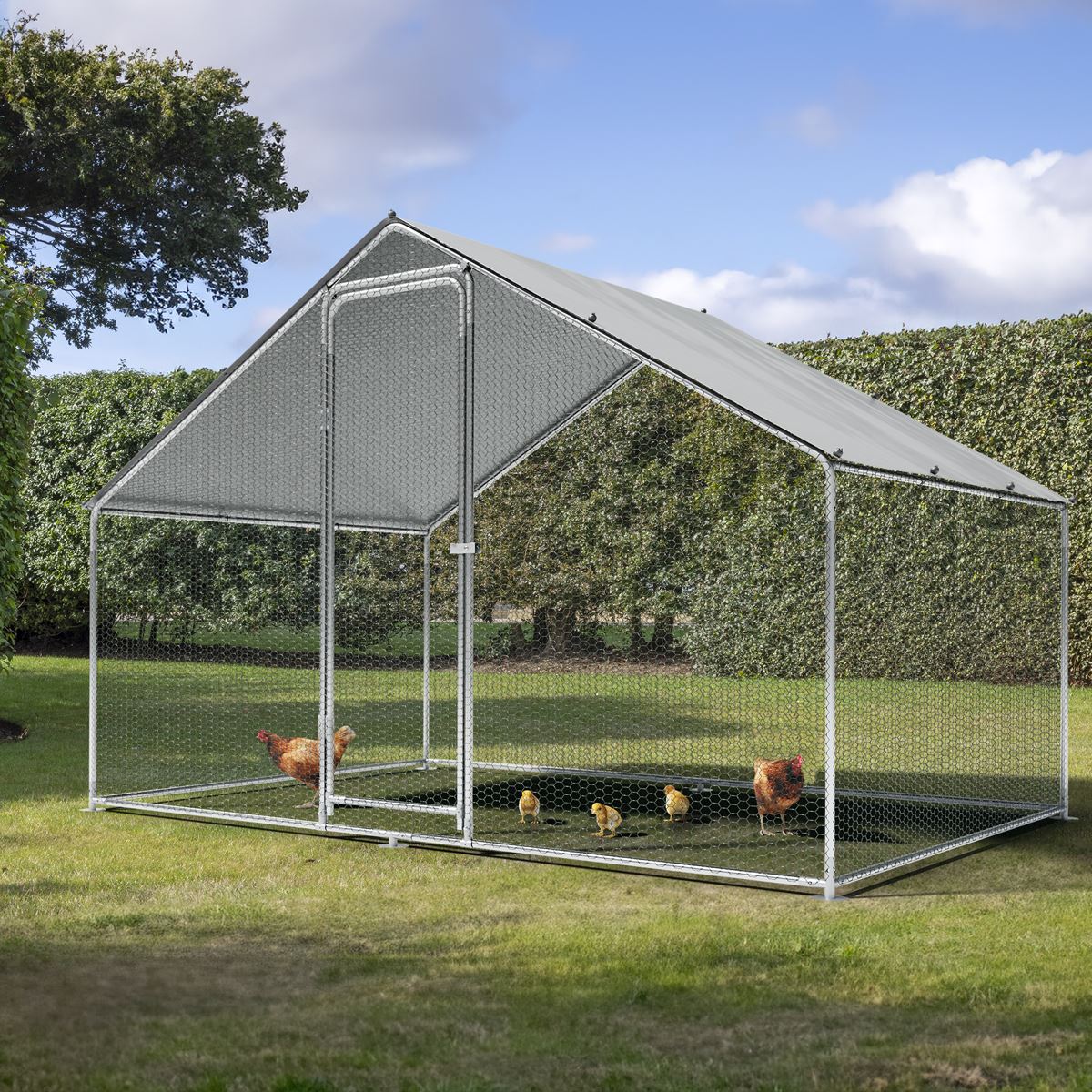 Dellonda 3 x 2 x 2m Walk-In Chicken Run, Galvanized Steel, Roof Cover, PVC Coated Chicken Wire