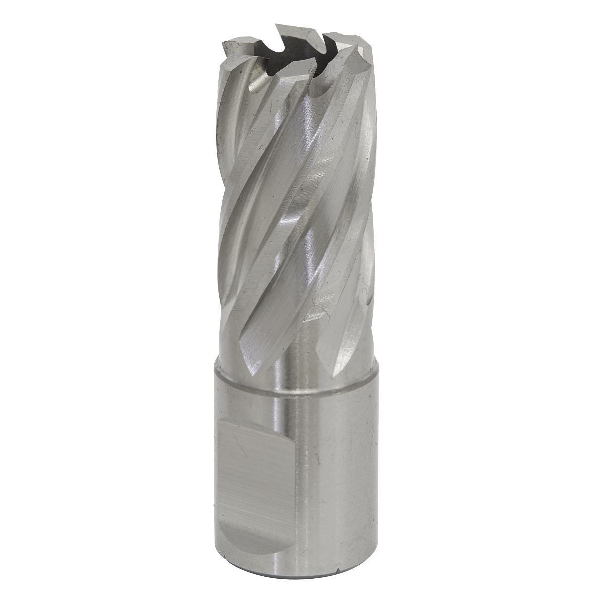 Worksafe by Sealey Mag Drill Bit HSS Ø18mm - Cut Depth 25mm 