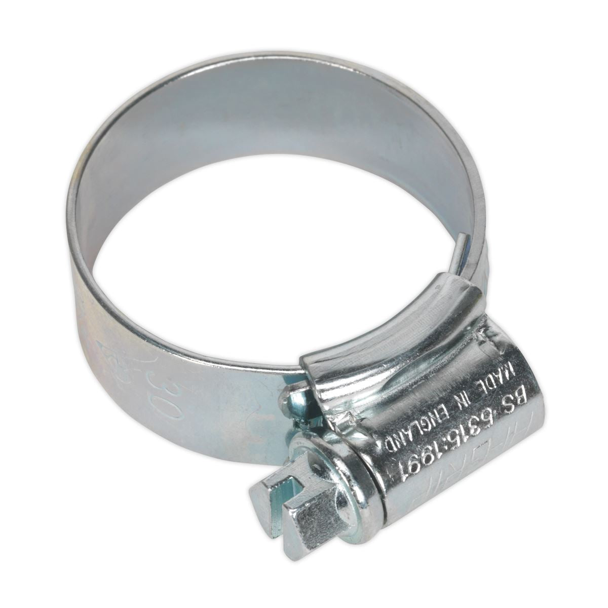 Sealey 20 Pack Hi-Grip Hose Clips (22-30mm x 12mm)