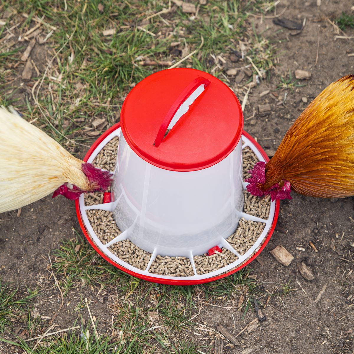 Sealey Poultry Feeder 3kg - Pack of 3