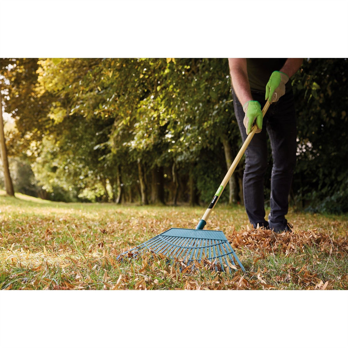 Draper Plastic Leaf Rake 550mm 31069  White Rose Tools