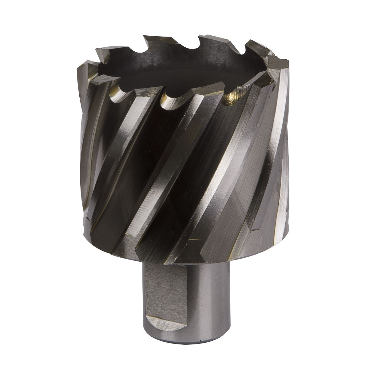 Worksafe by Sealey Mag Drill Bit HSS Ø45mm - Cut Depth 25mm 