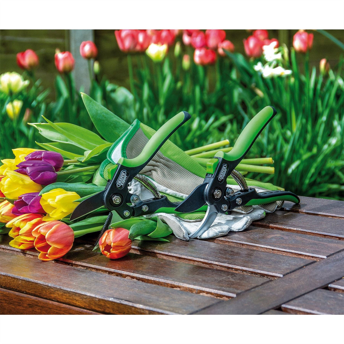 Draper Expert Anvil Pattern Secateurs 200mm 94983  White Rose Tools