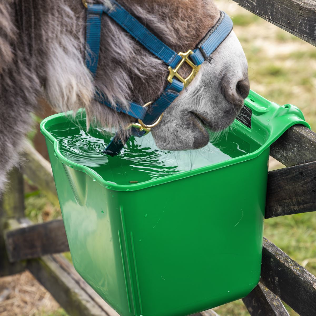 Sealey Hook-Over Feeder 13L