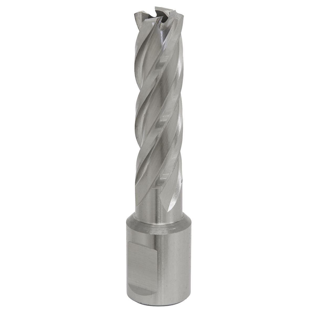 Worksafe by Sealey Mag Drill Bit HSS Ø15mm - Cut Depth 50mm 