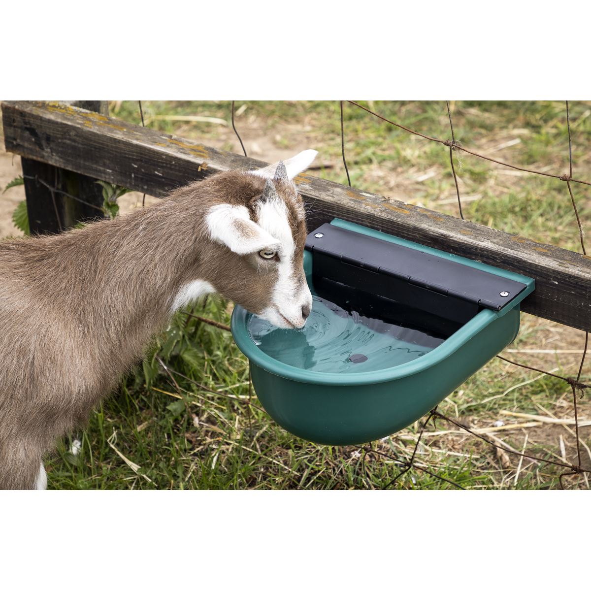 Sealey Automatic Cattle Drinking Bowl 4L