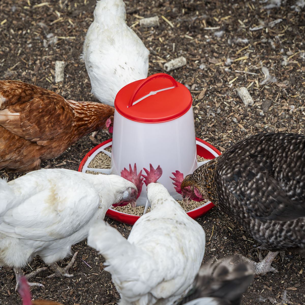 Sealey Poultry Feeder 6kg 