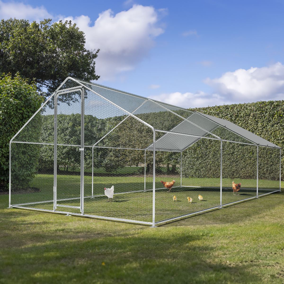 Dellonda 3 x 6 x 2m Walk-In Chicken Run, Galvanized Steel, Roof Cover, PVC Coated Chicken Wire