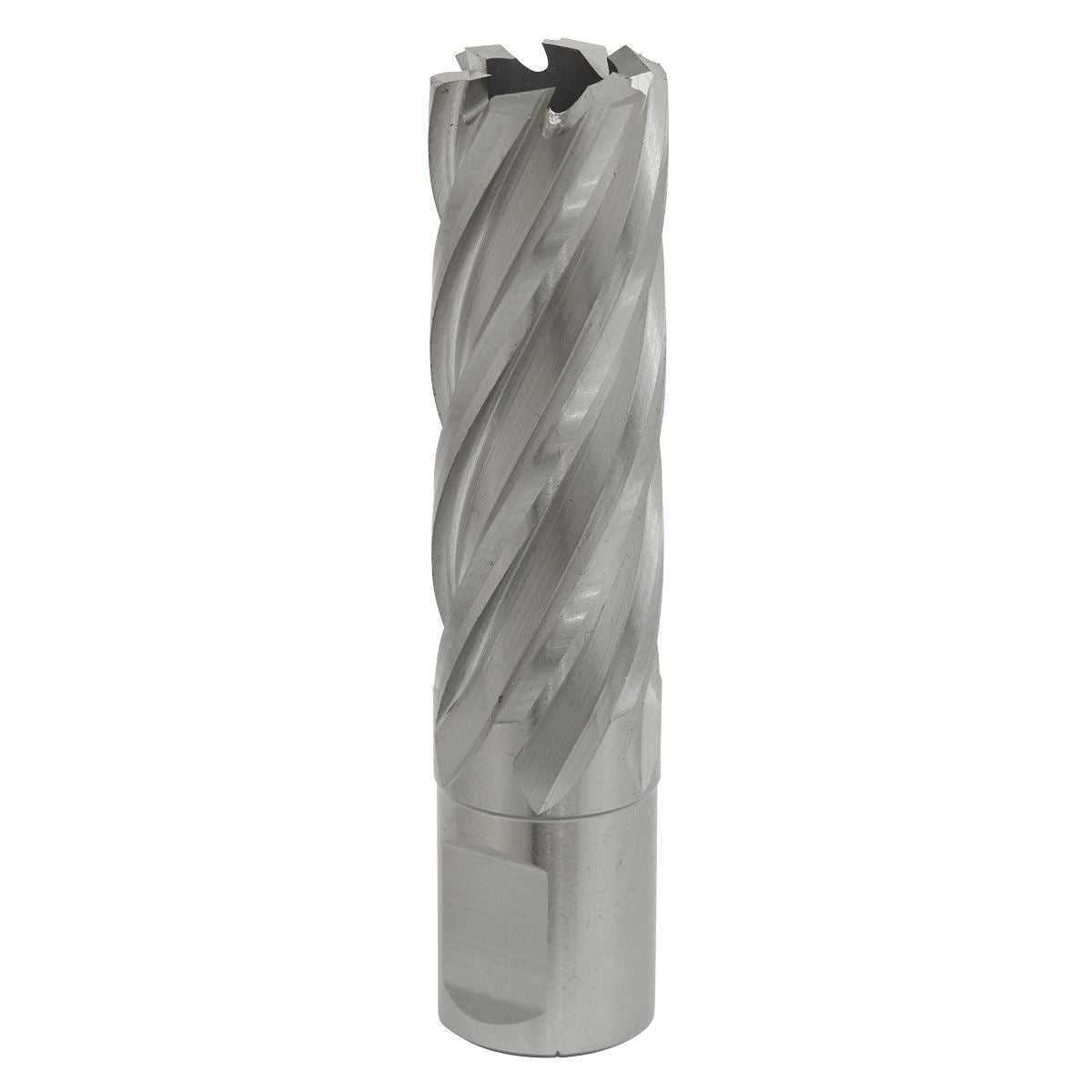 Worksafe by Sealey Mag Drill Bit HSS Ø20mm - Cut Depth 50mm