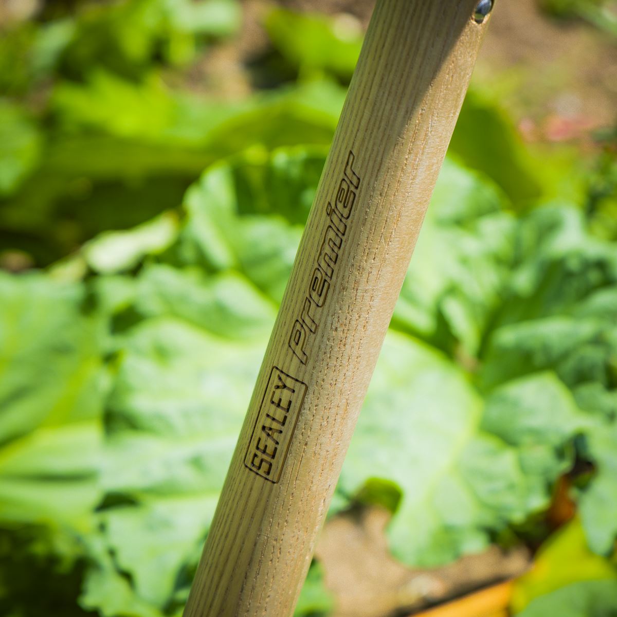 Sealey Premier Digging Spade with Ash Y Handle & Stainless Steel Blade  White Rose Tools