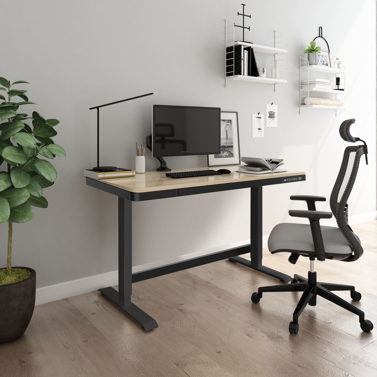Dellonda Oak Electric Adjustable Standing Desk with USB & Drawer, 1200 x 600mm