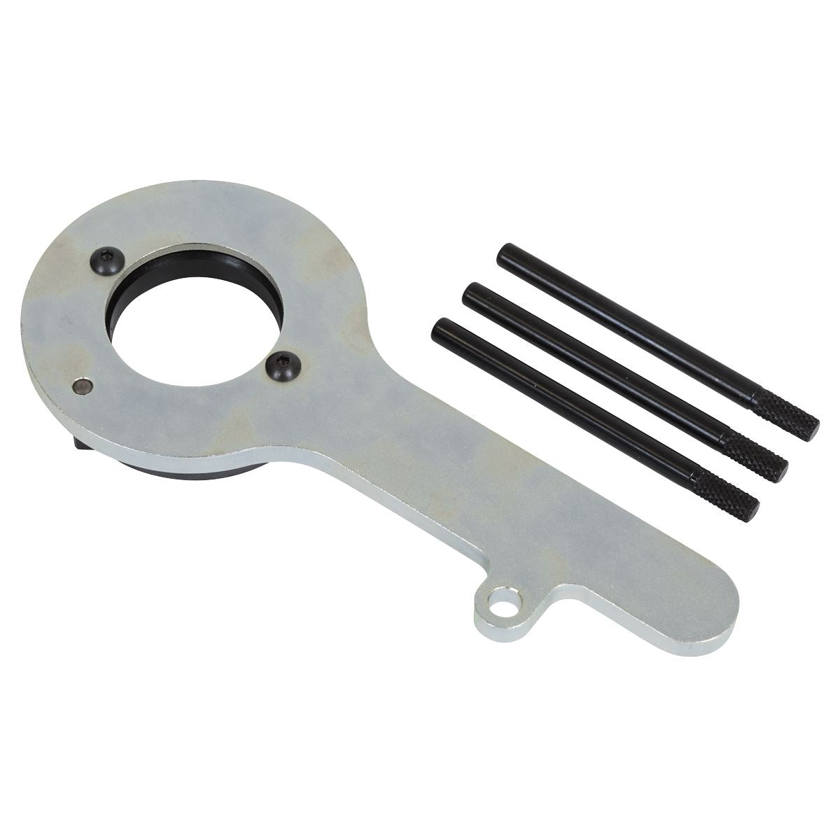 Sealey Diesel Engine Timing Tool Kit - for Ford 2.0TDCi EcoBlue - Belt Drive