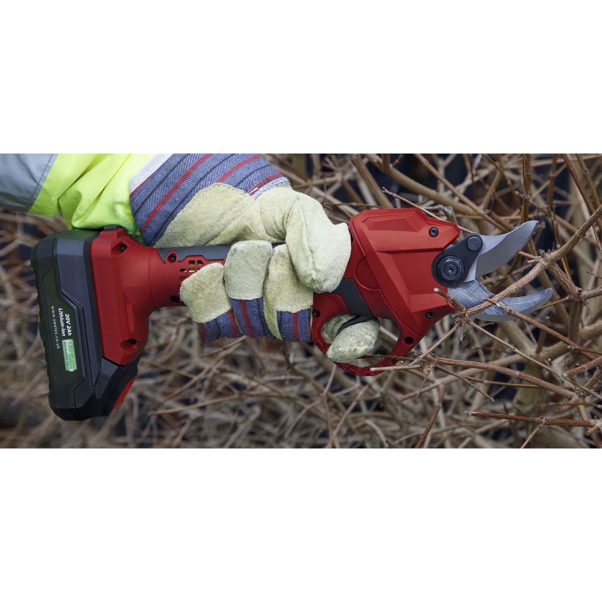Sealey Cordless Pruning Shears Kit 20V 2Ah SV20 Series 