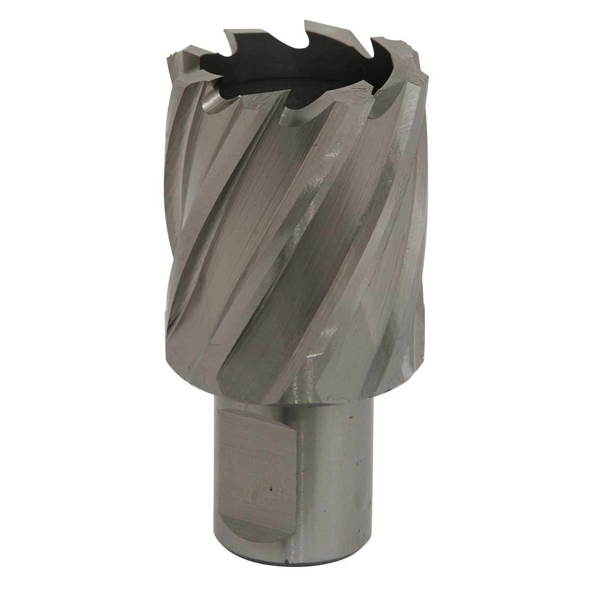 Worksafe by Sealey Mag Drill Bit HSS Ø31mm - Cut Depth 25mm