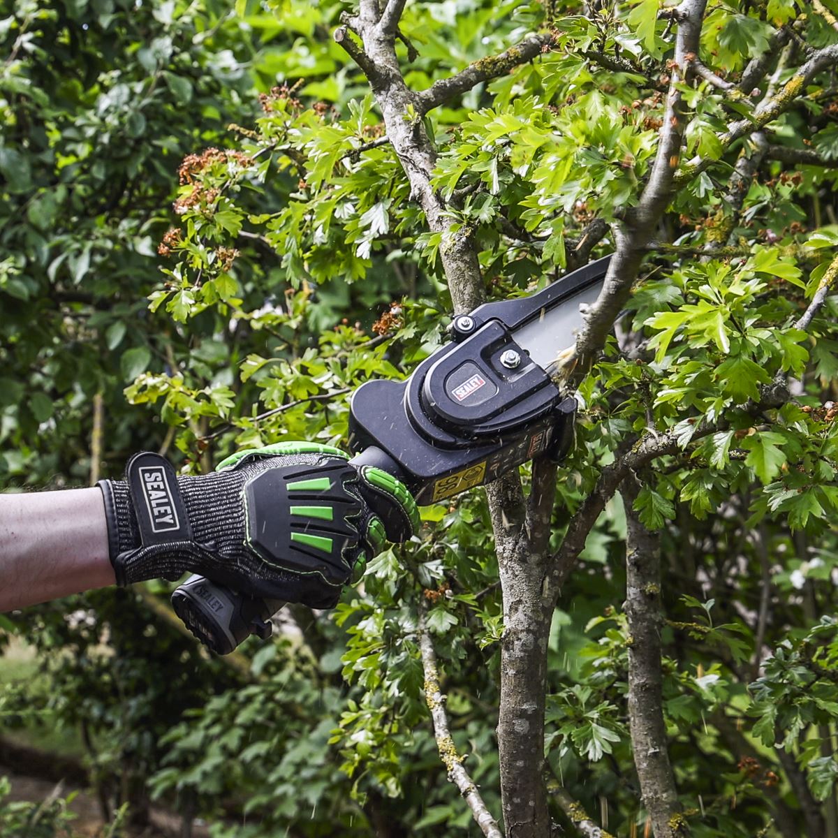 Sealey SV10.8 Series Cordless Pruning Saw 10.8V - Body Only 