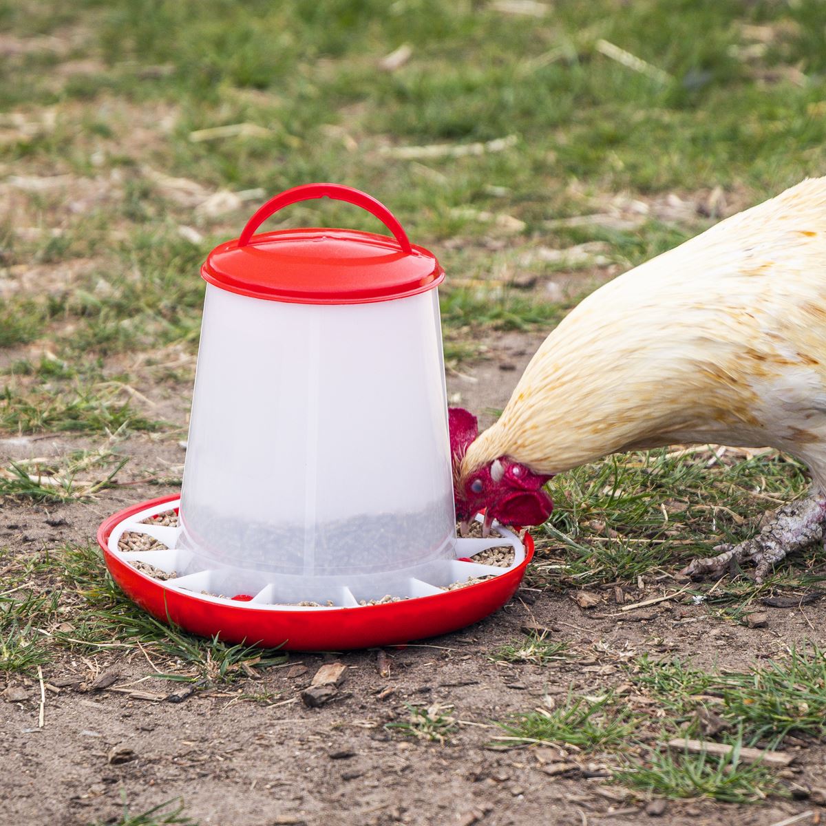 Sealey Poultry Feeder 3kg - Pack of 3  White Rose Tools