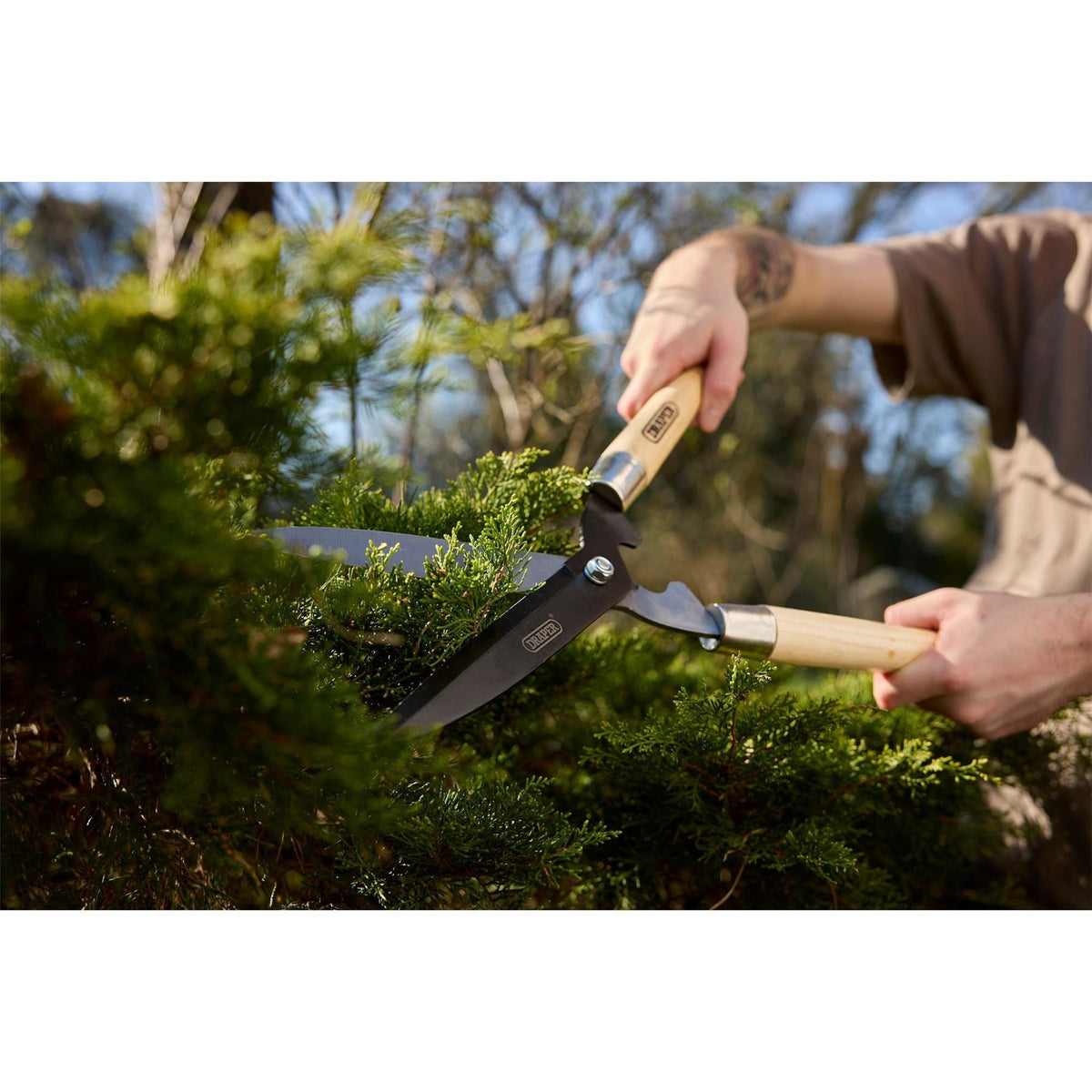 Draper Straight Edge Garden Shears with Ash Handles 230mm 36784  White Rose Tools