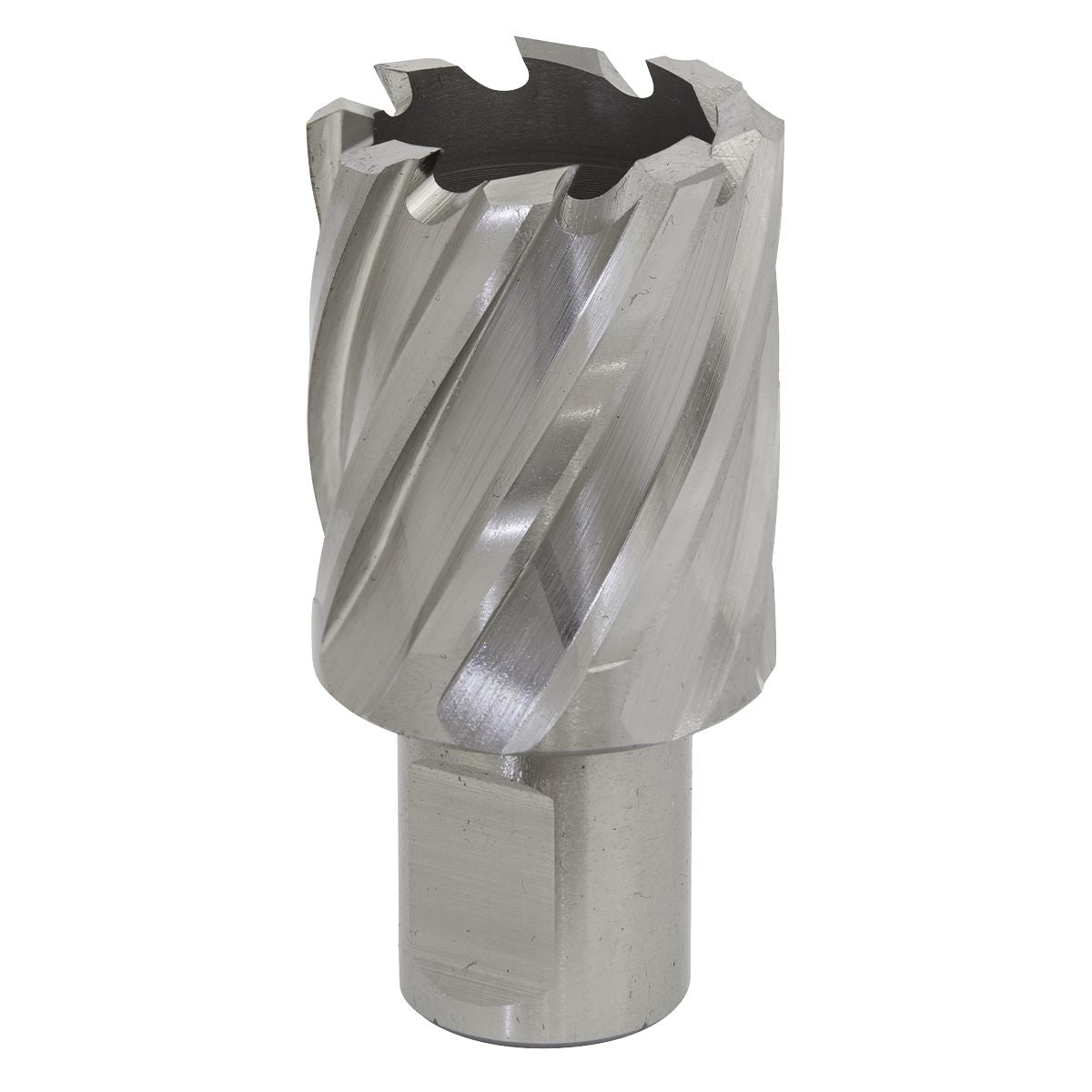 Worksafe by Sealey Mag Drill BitHSS Ø29mm - Cut Depth 25mm 