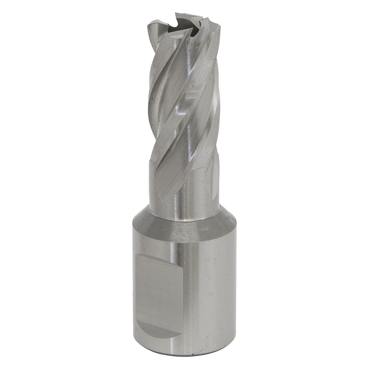 Worksafe by Sealey Mag Drill Bit HSS Ø12mm - Cut Depth 25mm 
