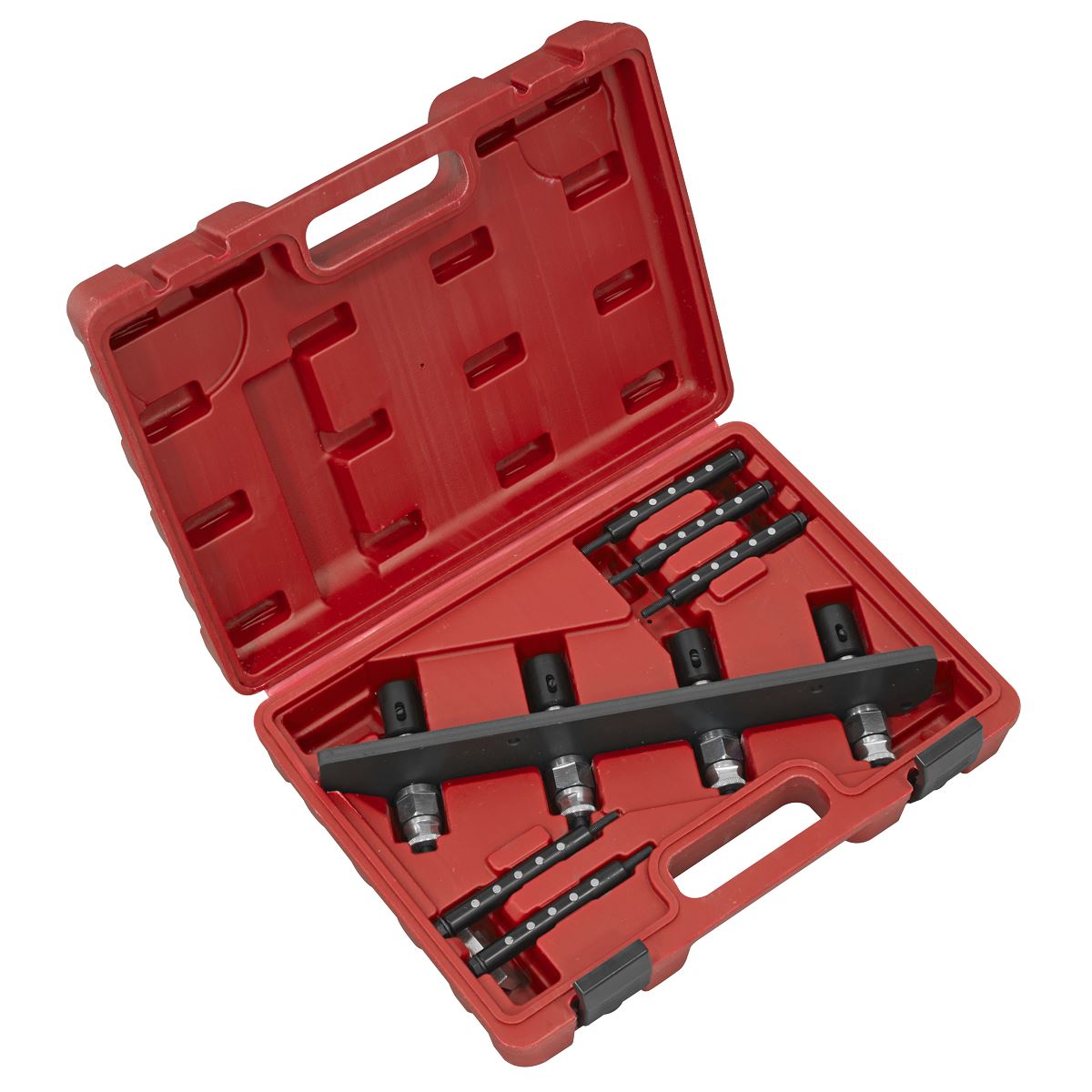 Sealey BMW, Mini Petrol Fuel Injection Removal/Installation Kit