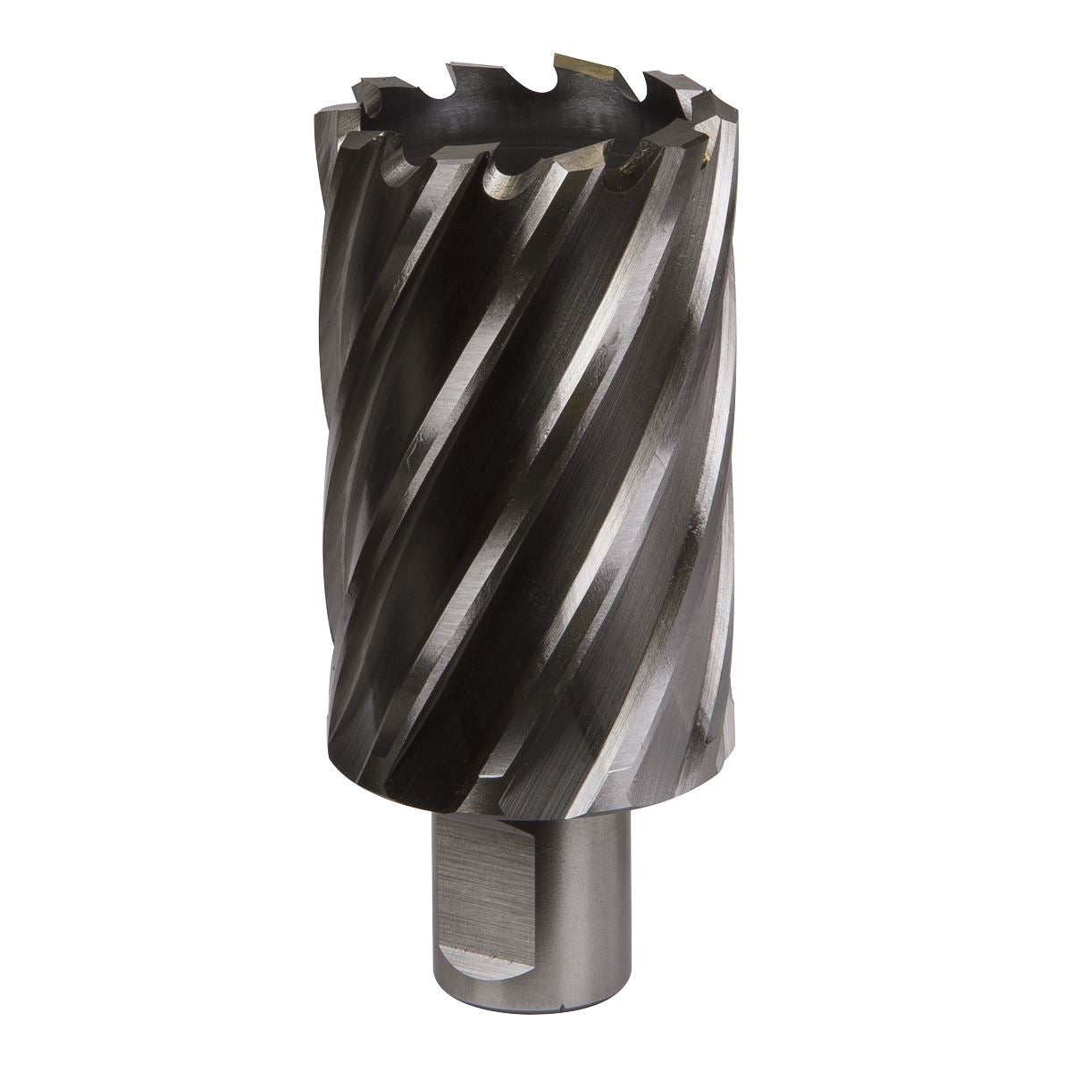 Worksafe by Sealey Mag Drill Bit HSS Ø39mm - Cut Depth 50mm